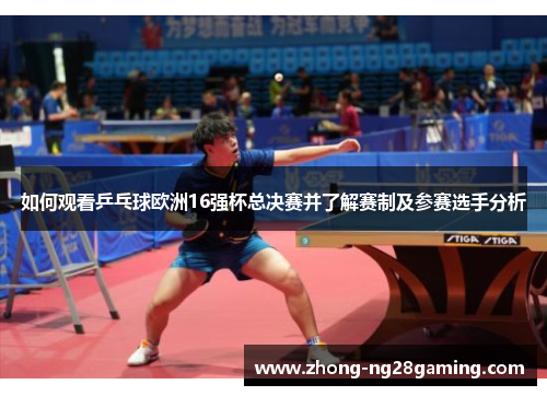 如何观看乒乓球欧洲16强杯总决赛并了解赛制及参赛选手分析