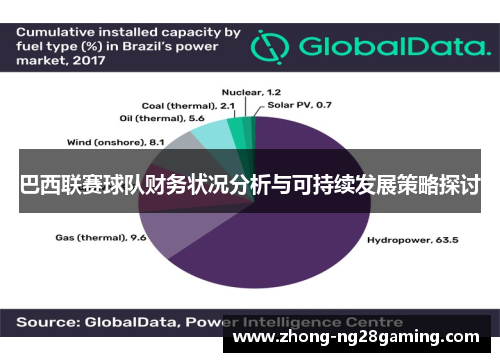 巴西联赛球队财务状况分析与可持续发展策略探讨 巴西联赛球队财务状况分析与可持续发展策略探讨